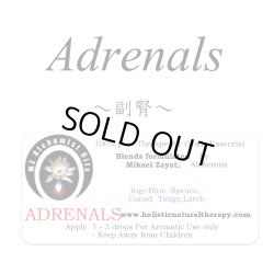 画像1: Adrenals-アドレナル（副腎）‐