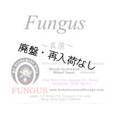 【廃盤商品】 Fungus-ファンガス（真菌）-