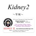 11月のメールマガジン限定価格!! Kidney II -キドニー(腎臓 II)-