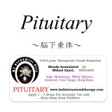 Pituitary-ピチュエタリー（脳下垂体）-