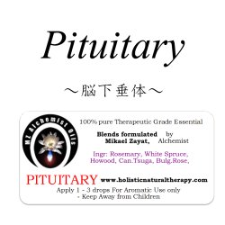 画像1: Pituitary-ピチュエタリー（脳下垂体）-