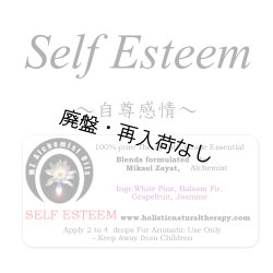 画像1: 【廃盤商品】 Self Esteem-セルフ・エスティーム(自尊感情)-